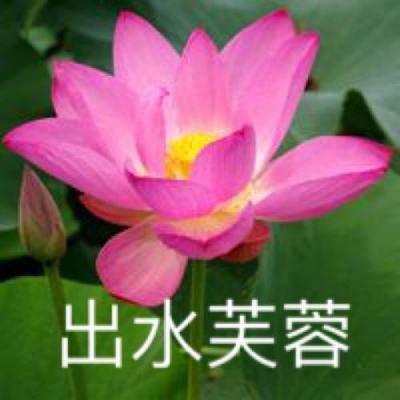帝国纪元果盘手游下载